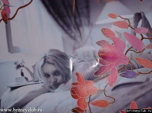Постер Бритни "Stages"04.jpg(Бритни Спирс, Britney Spears)