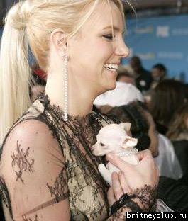 Billboard Music Awards 2004 03.jpg(Бритни Спирс, Britney Spears)