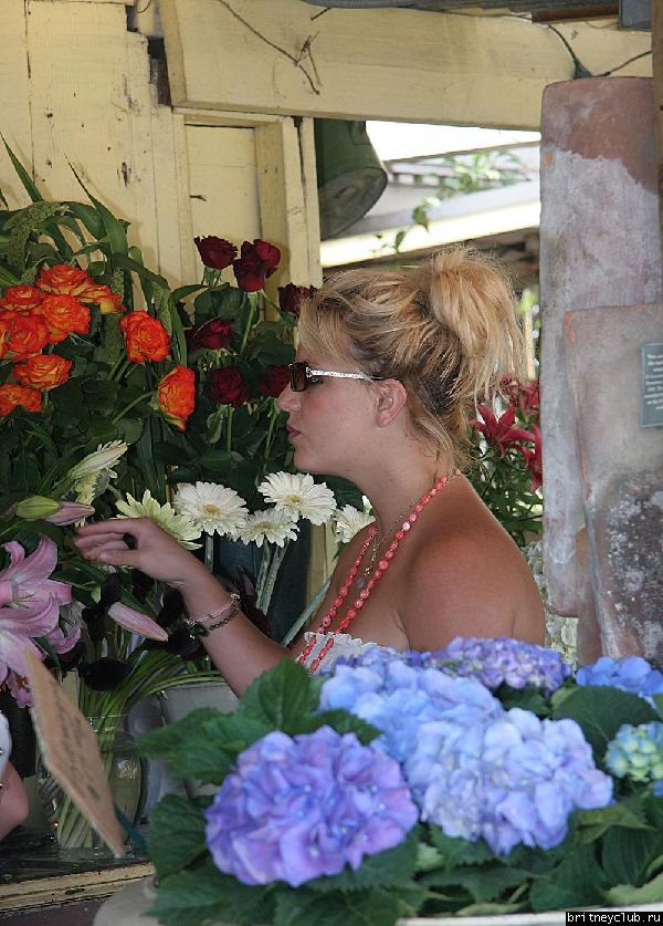 Бритни покупает цветы23~138.jpg(Бритни Спирс, Britney Spears)