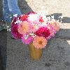 Бритни покупает цветы