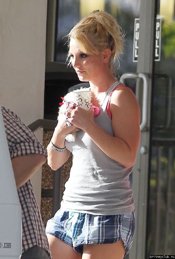 Бритни с сыновьями покидает ветеринарную клинику Barkley Pet Hotel 01.jpg(Бритни Спирс, Britney Spears)