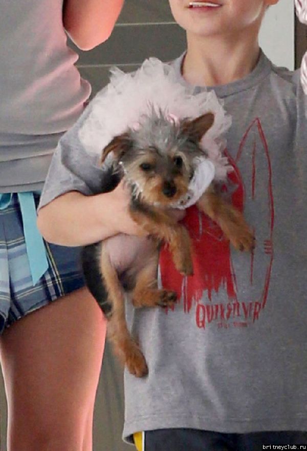 Бритни с сыновьями покидает ветеринарную клинику Barkley Pet Hotel 36.jpg(Бритни Спирс, Britney Spears)