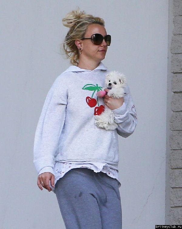 Бритни с белым щенком посетила ветеринарную клинику06.jpeg(Бритни Спирс, Britney Spears)