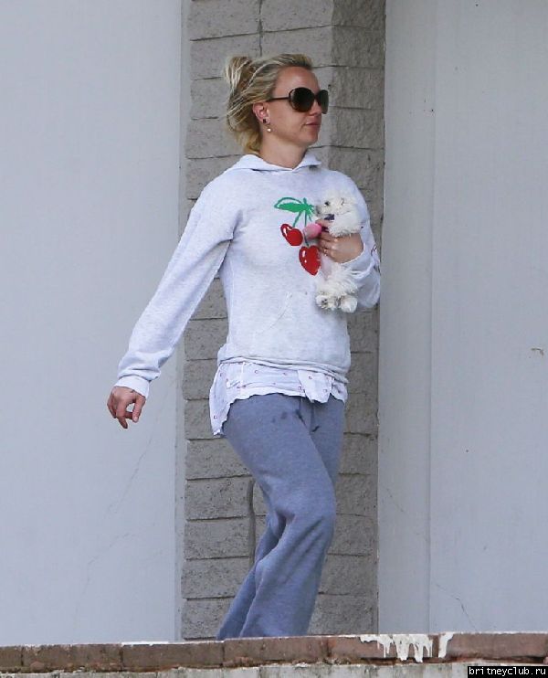 Бритни с белым щенком посетила ветеринарную клинику09.jpeg(Бритни Спирс, Britney Spears)