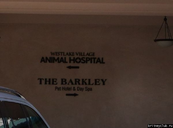 Бритни с белым щенком посетила ветеринарную клинику17.jpg(Бритни Спирс, Britney Spears)